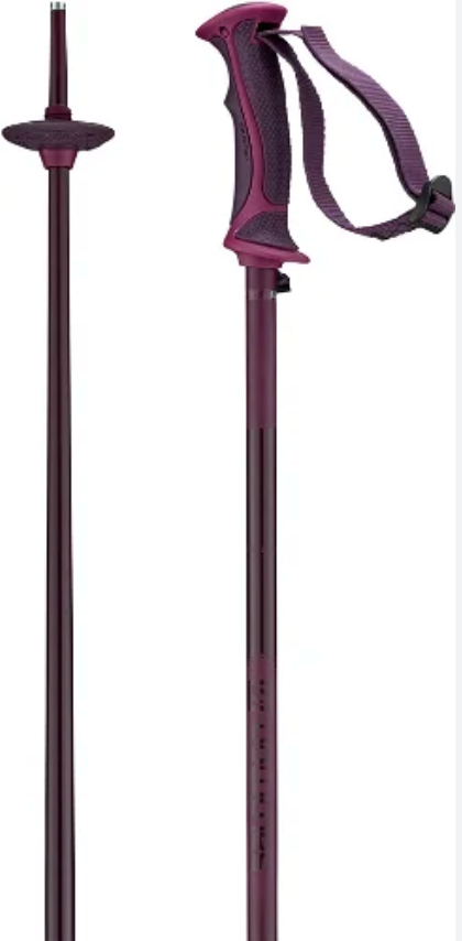 Salomon Arctic Purple
