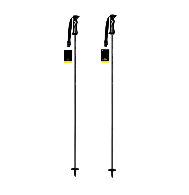 Gabel Carbon Skistave