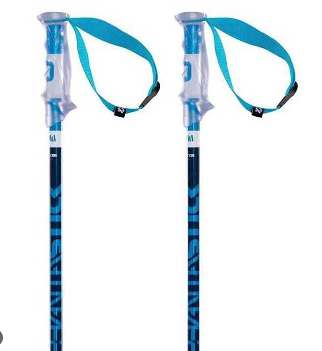 Völkl Phantastick Skistave